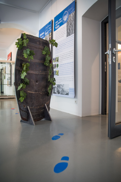 Kultiviert – Eingang zur Ausstellung Raum 1 Kultiviert – Eingang zur Ausstellung Raum 1