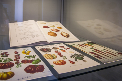 Kataloge von Ernst Benary, Erfurt Kataloge von Ernst Benary, Erfurt