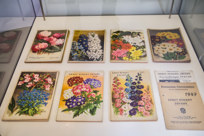 Kataloge von Ernst Benary, Erfurt Kataloge von Ernst Benary, Erfurt