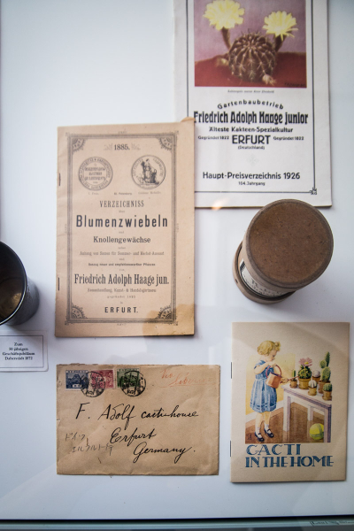 Preisverzeichnisse der Gärtnerei Haage Preisverzeichnisse der Gärtnerei Haage