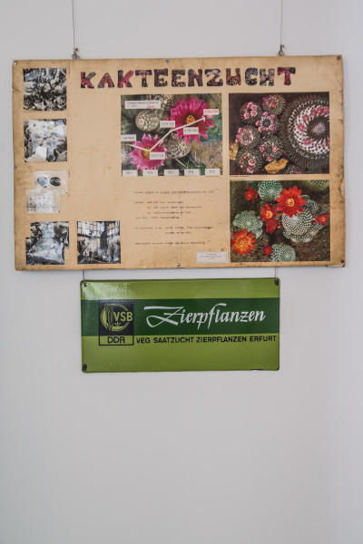 Wandzeitung aus den 1970er Jahren Wandzeitung aus den 1970er Jahren