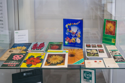 Kataloge der Gärtnereien aus dem VEG Kataloge der Gärtnereien aus dem VEG