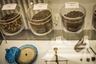 Sämereien Sämereien