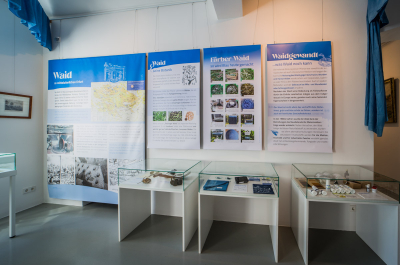 Raum1 – Ausstellungfläche Thema Waid Raum1 – Ausstellungfläche Thema Waid