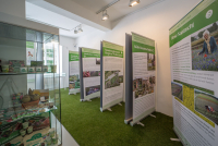 <p>Erfurter Gärtnereien heute</p> <p>Erfurter Gärtnereien heute</p>