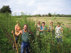 <p>Baumpflege</p> <p>Baumpflege</p>