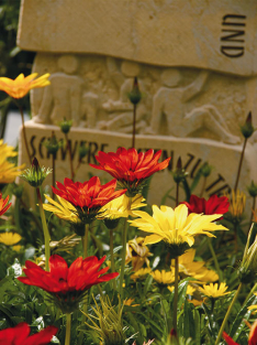 <p>Grabgestaltung Sommer</p> <p>Grabgestaltung Sommer</p>