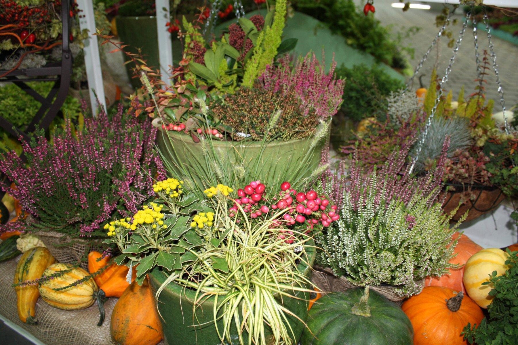 Medaillenflut für Thüringer Gärtner Gartenbau in Thüringen