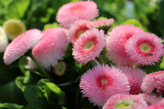 Landesgartenschau Leinefelde-Worbis 2026