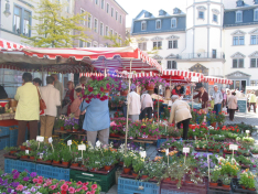 7. bis 10. Mai Blumen- und Gartenmarkt in Gera